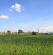 Campo nel parco delle Groane,cielo azzurro