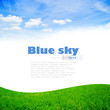 Green grass with blue sky