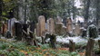 Jewish cemetery at early winter