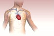 Vídeo: Tipos de diabetes Tipos de diabetes