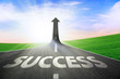 The path to success