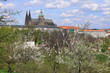 Spring Prague gothic Castle with the green Nature