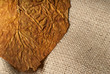 Defocus tobacco
