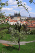 Spring Prague gothic Castle with the green Nature