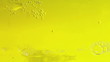 Beer bubbles Beer bubbles