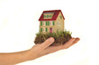 Foto: Haus in der Hand Haus in der Hand