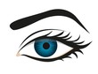 detailed eye lashes and eyebrow