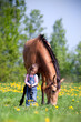 Child and big horse standing in the field at spring.