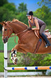 Young girl jumping with chestnut horse