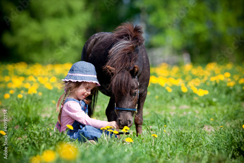 Photo: Child feeding small horse in the field at spring. Child feeding small horse in the field at spring.
