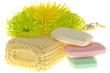 cleaning products of the body