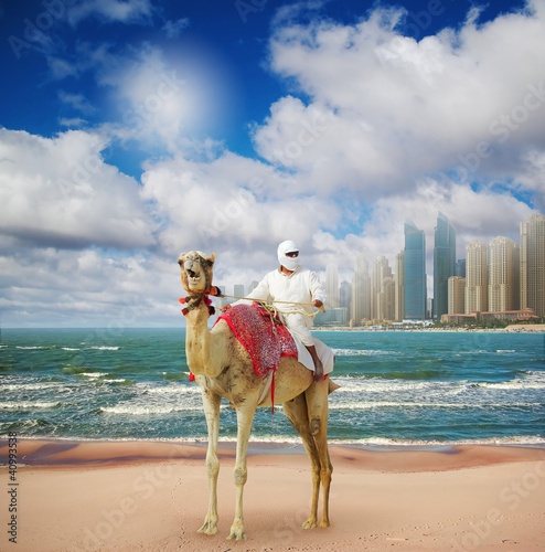 Photo: Camel on Beach in Dubai at the urban background, Camel on Beach in Dubai at the urban background,