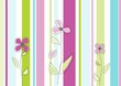 Colorful flowers