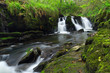 Beautiful waterfall of Clare Glens, Ireland Beautiful waterfall of Clare Glens, Ireland