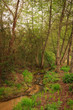 Small Dirty Riverside Small Dirty Riverside