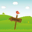 vector cute bird in spring time