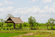Landscape of countryside Landscape of countryside