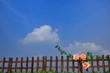 青空とバラのある風景