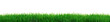 Fresh grass