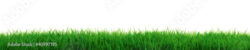 Illustration: Fresh grass Fresh grass