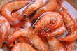 Boiled Shrimps closeup Boiled Shrimps closeup