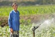 Photo en ligne au meilleur prix asian farmer watering plant