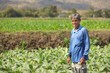 Photo en ligne au meilleur prix asian farmer in field