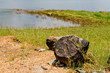 Landscape of Takabak reservoir Landscape of Takabak reservoir
