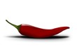 Red chili peppers