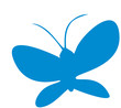 papillon bleu papillon bleu