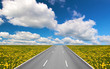 landscape with road and yellow dandelions landscape with road and yellow dandelions
