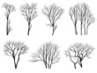 Silhouettes of trees without leaves.