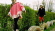 Girls run around on tires