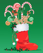 christmas stocking