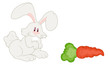 Hungry Rabbit