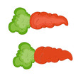 Fresh Carrot Vector