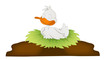 Cute Cartoon Duck