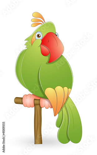 Vector: Macaw Macaw
