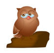 Cartoon Owl
