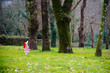 Little Red Riding Hood in the forest
