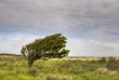 Daenemark 2011 056