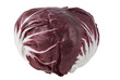 Radicchio rosso di Chioggia cutout