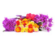 spring flowers
