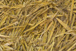 straw detail