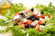 piadina vegetariana piadina vegetariana