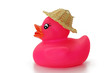 ente mit sonnenhut