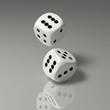 zwei weisse Spielwürfel