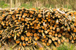Log Pile