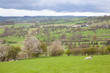 Dales Landscape