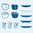 Vector Teeth